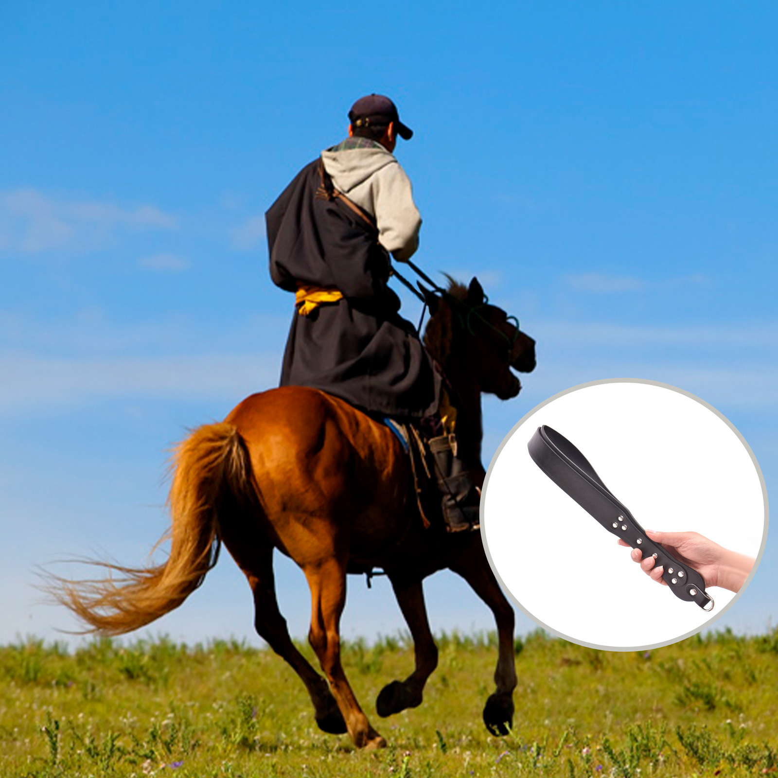 승마 훈련용 채찍 PU 가죽 드레사지 크롭 (말의 지상 - Riding Crop Dressage 리뷰 및 가격