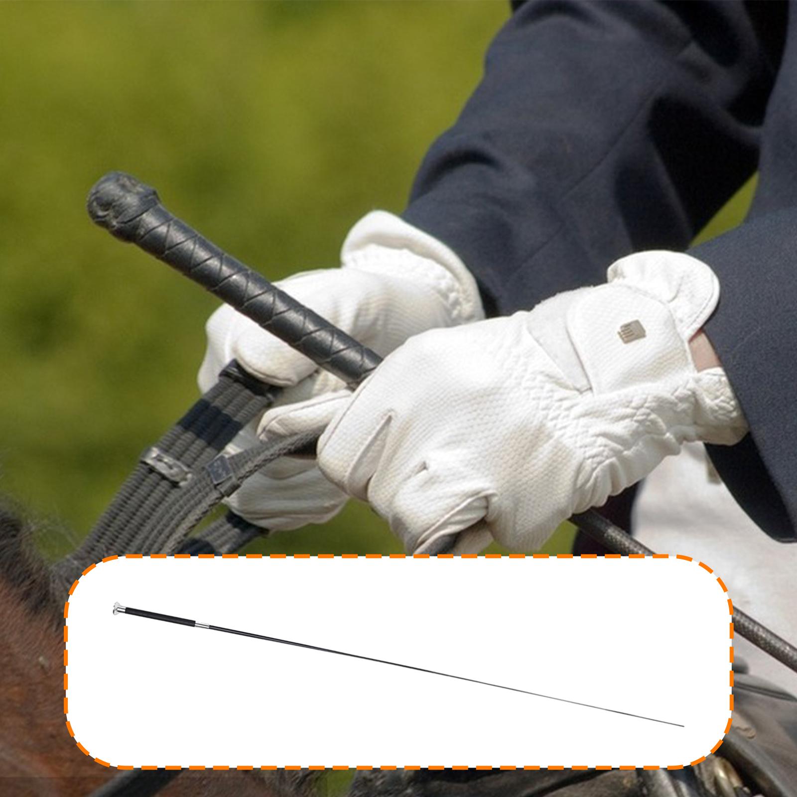 다용도 승마용 채찍, 금속 나일론 PU 가죽 소재, 승 - Riding Crop Dressage 리뷰 및 가격